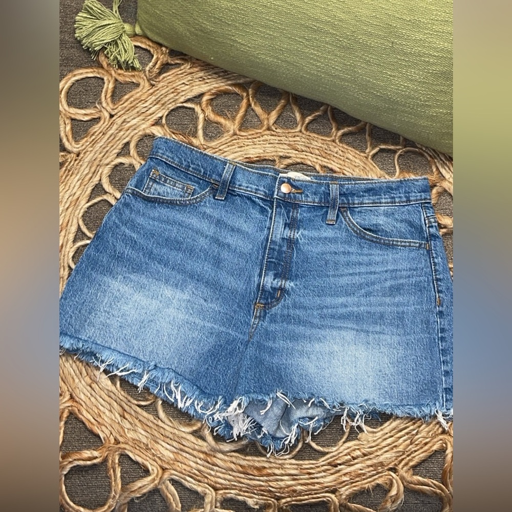Universal Thread Distressed Denim Shorts